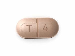Levothroid (Levothyroxine)